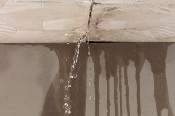 Professional Water Damage Inspection technician working in Wright, FL